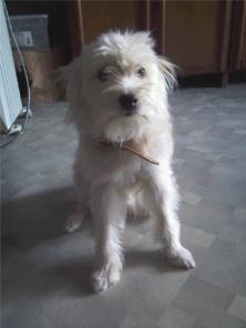 7 �� � 30 �� �������! ����� ������� � ������ ����!