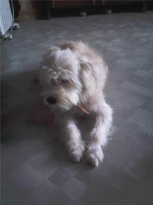 7 �� � 30 �� �������! ����� ������� � ������ ����!