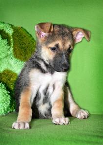 ������� ���� � ������ ����! ����� � ���!