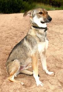 ����� ������ � ������� ����.