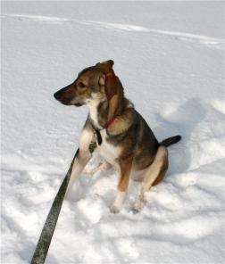 ����� ������ � ������� ����.