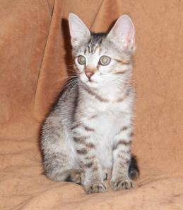 ����� ������, ��������� ��������! � ������ ����!