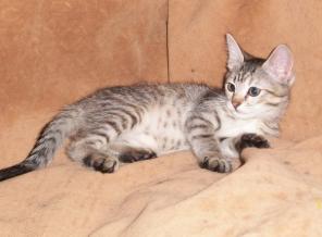 ����� ������, ��������� ��������! � ������ ����!