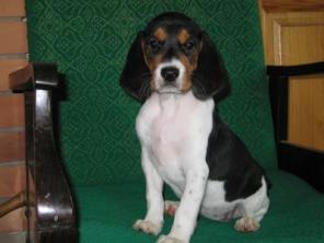 ����� ��������� ������