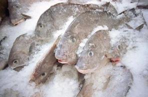 Продаем рыбу свежемороженую