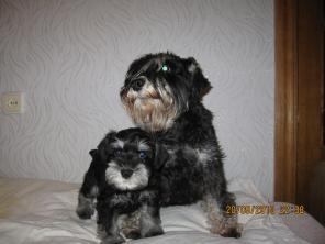 ������ ������ ������ ������������.