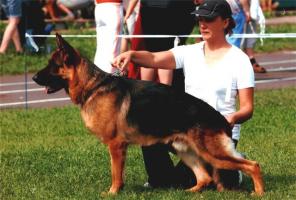 ����� �������� �������