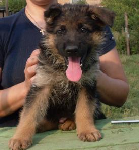 ����� �������� �������