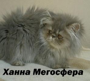 ���������� ������� �����