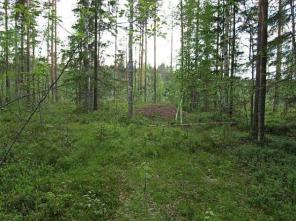 Участок в Финляндии.Участок в Пуумала, район Иматра