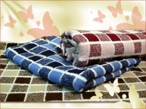 ����-�������� ���������� ��� �������� �������, �������� ��������� ����� � ������ �����