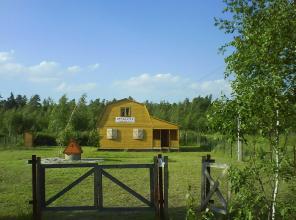 ���� 65 �� �� ����