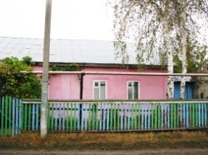 Дом в центре села с участком 25 соток