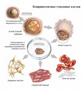 Лечение инсулинзависимого сахарного диабета 1 типа.