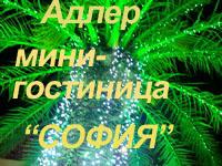 Отдых в Адлере частный сектор мини-гостиница "София"