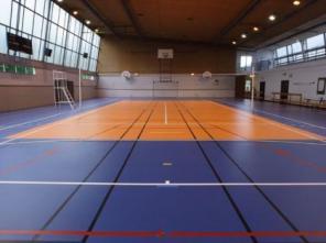 Спортивный линолеум grabo от 14.00 Евро.кв.м Склад. Опт, мелкий опт