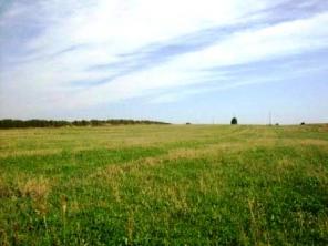 Земельный участок 97 га в 170 км от МКАД.