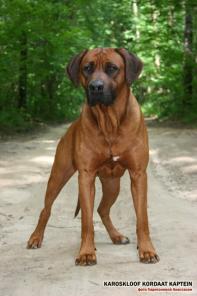 ����� ��������