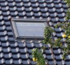 ������ ���������� ����