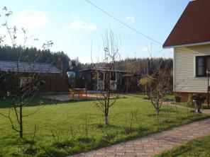 ���, �. �����������, 50 ��., ��������