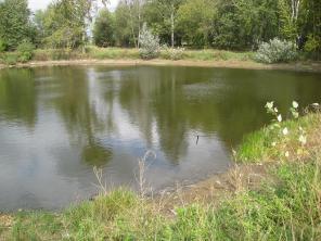 Продаю участок 12 соток Раменский районе
