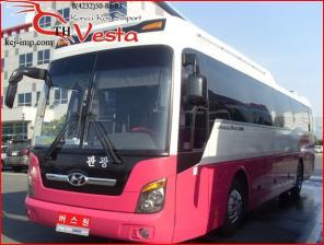 Туристический автобус Hyundai Universe Luxury 2008г с 2 дверьми