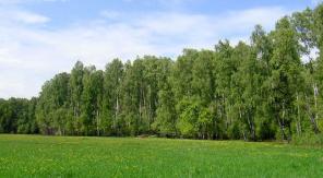 Участки в поселке "Лесное озеро" Серпуховской район
