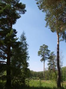 Земельные участки в заповедных местах на Оке