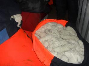 ������ � ���������� ���������