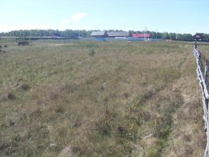 Участок 15 соток в пригороде Челябинска (д. Трифоново)