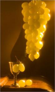 Качественная рекламная фотосъемка. Предновогодняя акция