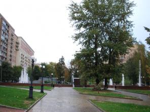 Помещение с витринными окнами Кутузовский пр-т