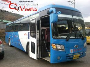 Туристический автобус Kia Granbird Parkway 2008 год
