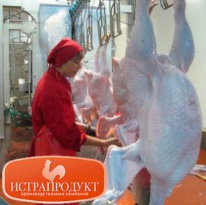 Переработчик купит Бройлер. Оптом