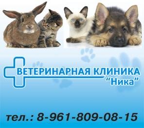 Стерилизация кошек и собак по эксклюзивной немецкой технологии бесшовным методом. Возможно на дому!