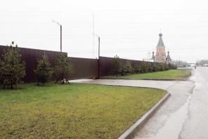 ООО «ПИРАНИКУМ»