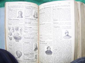 Книга стаоинная