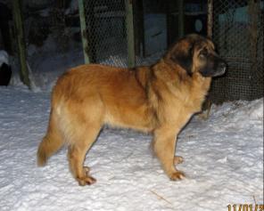 ���������� - �������� ������, ������ �����, ������ ���� ��� ���� �����.