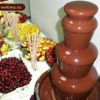 Шоколадный фонтан от Choco-emotions - лучший подарок на свадьбу