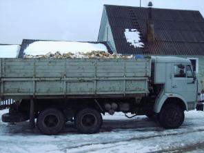 Какие дрова лучше?