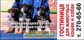 Дрессировка собак Ростов на Дону