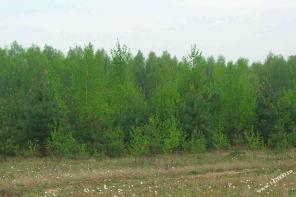 Участки в дачном поселке в Тарусском районе Калужской области