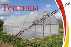 Теплицы в Нефтекамске Р.Б.