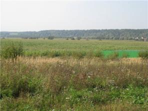 Продаю участок 25 соток с великолепным панорамным видом, Новорижское шоссе (возможно Можайское шоссе)