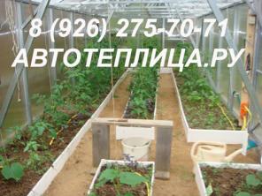 Автотеплица из поликарбоната, каркас, инструкция, чертежи, фото, 3D