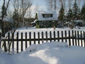 ������ ����