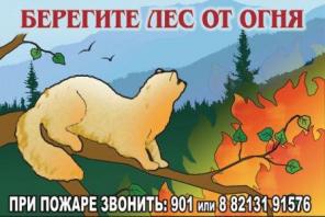 Аншлаги противопожарной безопасности в лесах