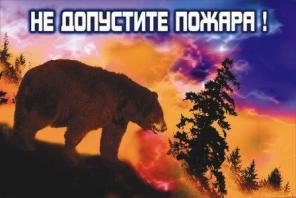 Аншлаги противопожарной безопасности в лесах