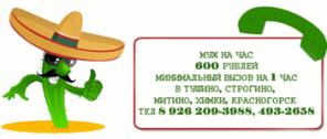 МУЖ НА ЧАС мелкий ремонт 89262093988, 4932658 Тушино, Строгино, Химки, Куркино, Митино, Красногорск, подробно тут http://ozxo.narod.ru/remont.html