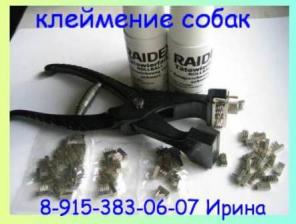 Клеймение Животных